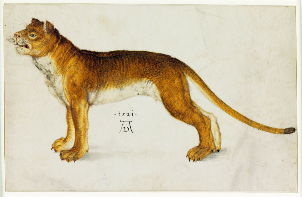 Collection_EdR_Louvre_012
